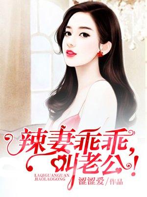 辣妻乖乖叫老公免费阅读