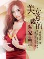 美女总裁的超级高手主角老婆