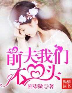 前夫不回收 作者安祖缇