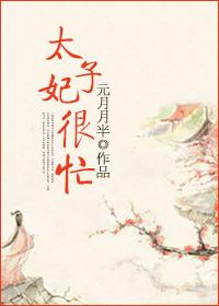 太子妃很忙txt百度