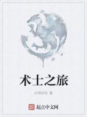 术士之流