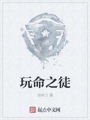 玩命之徒暗示什么