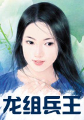 龙组兵王全集录