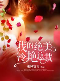 我的冷艳绝色总裁乘风赏月