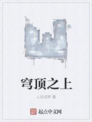 穹顶之上写的什么玩意