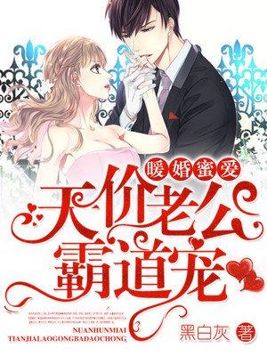 暖婚之天价妻约免费全文阅读