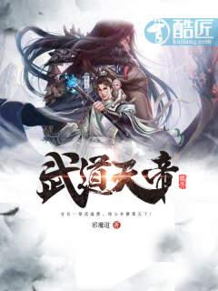 武道天帝等级境界划分