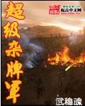 杂牌军在线阅读