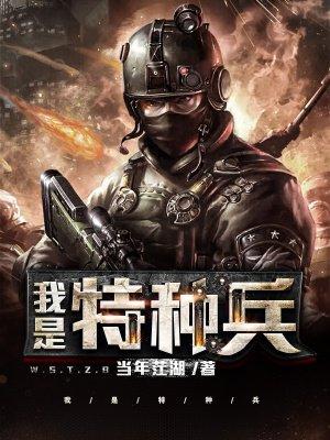 我是特种兵3