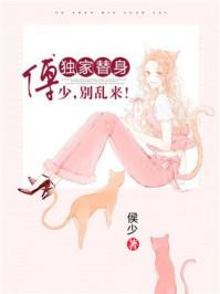 独家替身傅少别乱来