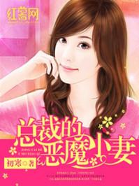 总裁的恶魔小妻子免费阅读