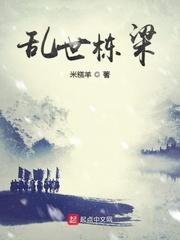 乱世栋梁有多少女主