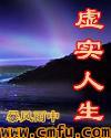 虚实人生电视剧全集免费观看