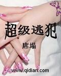 国家s级逃犯