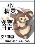 小精灵观察员