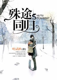 殊途同归简介