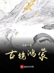 鸿蒙一镜到底怎么用