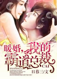 暖婚我的霸道总裁番外