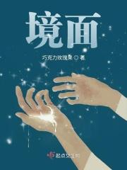 境面什么意思