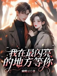 我最闪亮的意思