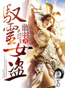 驭灵女盗书评
