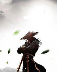 武林至尊