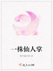 一株仙人掌还是一棵仙人掌