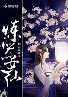 仙器炼器需要什么材料