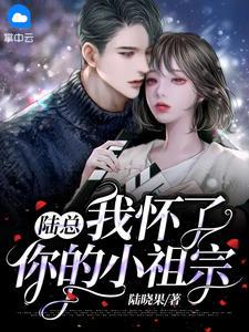 陆总我怀了你的小祖宗短剧全集