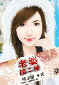 媳妇二婚