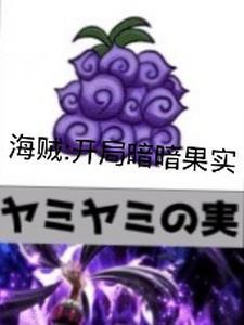 海贼王之开局一个暗暗果实