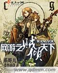 网游之贼行天下简介