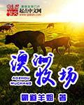 澳洲牧场牌蜂胶软胶囊的功效与主治功能