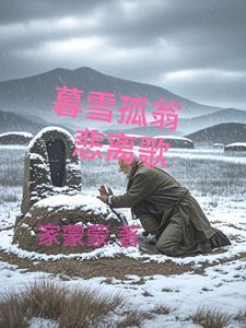 暮雪译文