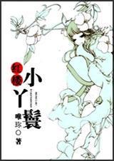 红楼梦之小丫鬟