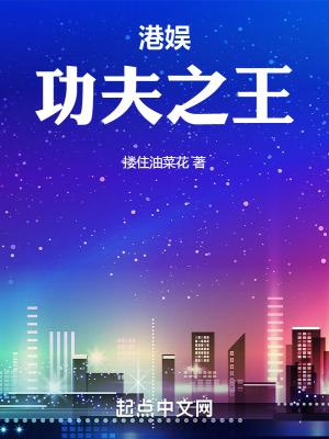 港娱功夫之王精校