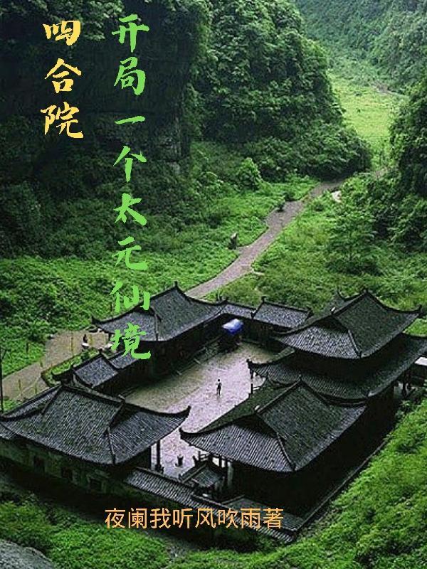 四合院开局一个太元仙境作者夜阑我听风吹雨