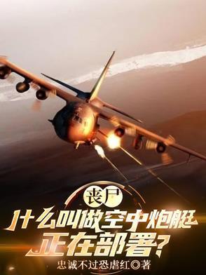 僵尸空中炮艇生存