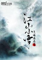江山又小雪作者岫青晓白