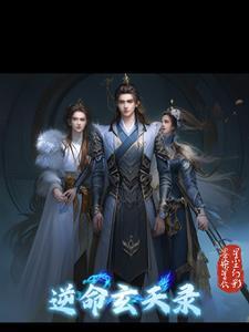 命轮逆天