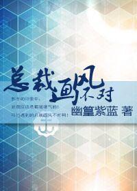 总裁画风不对 第二季