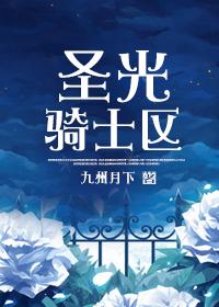 圣光骑士配种