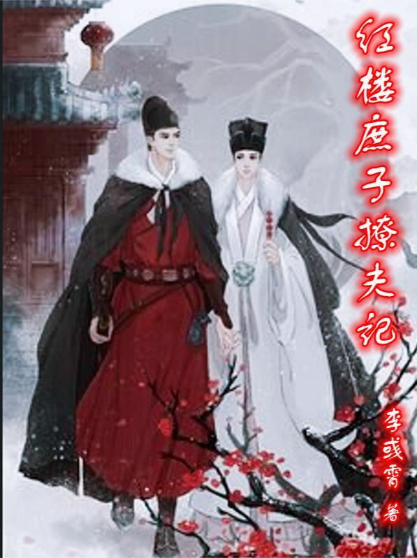 红楼之庶子闹红
