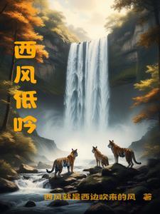 西风解释