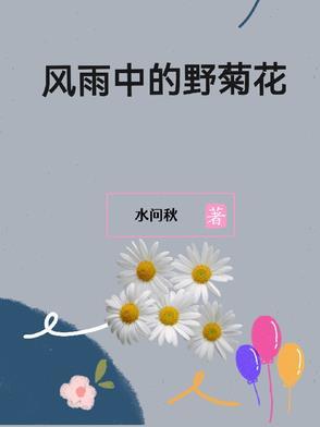 风雨中的野菊花歌词