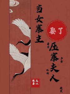 当压寨夫人的那些日子 茶不思饭不想 著