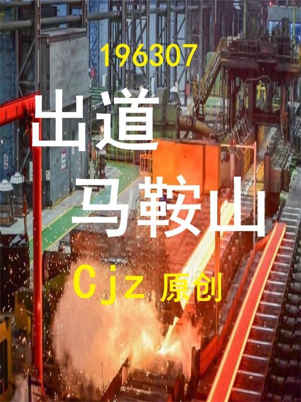 马鞍山轰动一时的事件