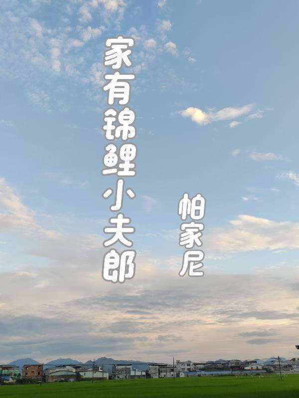 锦鲤小夫郎格格党