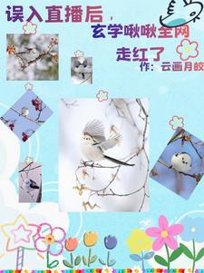 小金乌x寸心