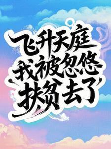 主角成为飞升者的